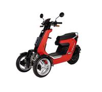 Dreirad Elektroroller Electroride E-TRIKE mit 2000 Watt - 45 km/h