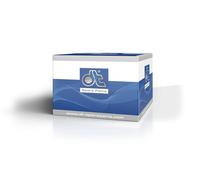 DT Spare Parts 6.70153 Spritzschutz passend für RENAULT