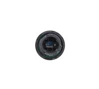 Wegsensor DT Spare Parts 4.70205 Ausrücklager, M6 x 1, L: 220 mm, 2 poles