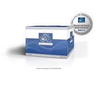 DT Spare Parts Pleuelschraube Universal 1.10987