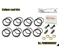 Ducati Diavel Carbon 1200 2013 Bremssattel Vorne Überholung Zubehör