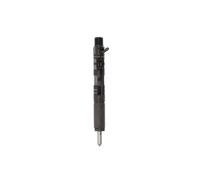 DELPHI (28232248) Einspritzventil für Renault