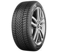 Dunlop Winter 205/60 R16 92H M+S Winterreifen