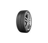 Winterreifen 215/65 R16 102H Dunlop Winter 3PMSF EVc XL | 200513