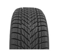 Dunlop Winter 205/55 R16 91H M+S Winterreifen