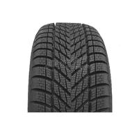 Dunlop Winter 205/55 R16 91H M+S Winterreifen
