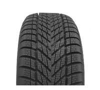Dunlop Winter 225/45 R17 91 H EV