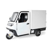 E-Lastendreirad mit Laderaum | L2e/L5e | 267 kg Zuladung | 60V 100Ah 45km/H