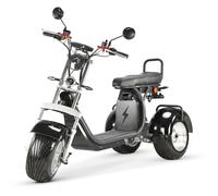 E-Scooter Coco Trike Bike bis 45 KM/H 60V 4000 W mit Straenzulassung CP7 40 AH