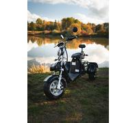 E-Scooter Scooter Elektroroller Roller mit Straßenzulassung StVZO Trike Chopper