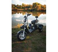 E-Scooter Scooter Elektroroller Roller mit Straßenzulassung StVZO Trike Chopper