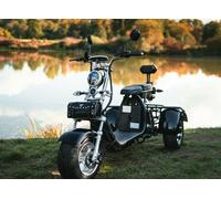 E-Scooter Coco Trike Bike Dreirad 60V 2000Watt mit Straßenzulassung Roller 80AH