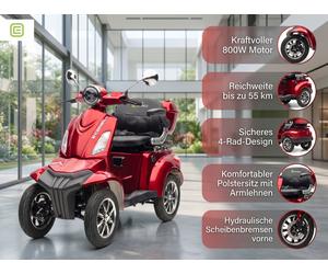 E-Seniorenmobil BENNI 4.0 - Lithium Akku - 1000W - 25 km/h - BRAUN