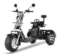 E-Trike Straßenzulassung 2000W 60V 40AH 45km/h Citycoco Elektroroller COC EEC