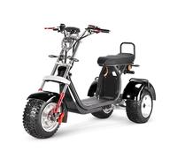 E-Trike Straßenzulassung 4000W 60V 55AH 45km/h Citycoco Elektroroller COC EEC