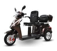 Elektro Dreirad für Erwachsene ECO ENGEL 503 Silber, 25 km/h