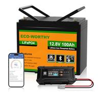ECO-WORTHY 12V 100Ah LiFePO4 Bluetooth mit 12/24V 20A Ladegeräte,Lithiumbatterie 12V 100AH mit BMS Low Temperature Schutz für Wohnmobil,Boot,Wohnwagen