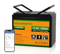ECO-WORTHY LiFePO4 12V 100Ah Bluetooth mit 100A BMS Low Temperature Schutz und Max. 15000 Zyklens,1280Wh Lithium Batterie 12V 100Ah Autobatterie für Wohnmobil,Wohnwagen,Boot