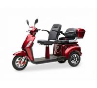 Econelo E-Seniorenmobil Billy 2.0, Blei-Akku, 3-Rad, 1000 Watt, Grau