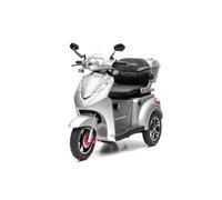ECONELO S1000 - 25 KM/H Blei Silber