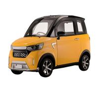 EcoRider Pro Kabinenroller | Elektro 45 km/h | 72V 58Ah Straßenzulassung 2 pers.