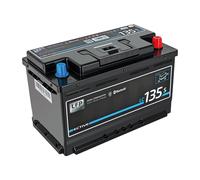 135 Ah ective LC 135s LT 1LiFePO4 für T5/T6 - Lithium Versorgungsbatterie