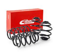 EIBACH Fahrwerkssatz, Federn E10-65-002-02-22 Pro-Kit