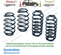 Eibach E10-85-024-01-22 Pro-Kit Tieferlegungsfedern 25mm & 30mm Absenkung