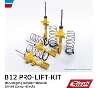 Eibach E93-42-038-02-22 Fahrwerkssatz Federn Dämpfer B12 Lift Kit Höherlegung