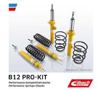 Fahrwerkssatz, Federn/Dämpfer EIBACH E90-81-016-02-22 EIBACH B12 Pro-Kit für