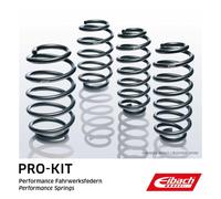 EIBACH E10-75-028-01-22 Fahrwerkssatz Federn Pro-Kit