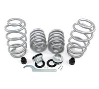 EIBACH Höherlegung Gewindefedern HINTEN 0-35MM Millimetergenau Einstellbar VW T6