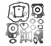 Ein Set komplettes Dichtungssatz for Briggs & Stratton 592173 799495 796661 Dichtungskit Motor Set