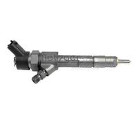 Einspritzdüse Common Rail für Paste 0873012 METZGER für u.a. RENAULT LAGUNA