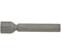 BOSCH | Einspritzventil | 0 437 502 013