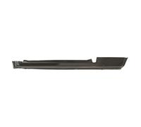 Einstiegblech BLIC 6505-06-9520001P Links