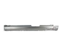 Einstiegblech BLIC 6505-06-9522011P Links