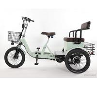 Elektro Dreirad 25km/h Senioren E-Trike Differential 250kg Rutschfester Fat Tyre