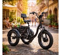 Elektro Dreirad Klappbar 500W E-Bike 48V Senioren Fahrrad 25km/h 50km Reichweite
