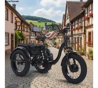 Elektro Dreirad Klappbar E-Trike 3 Rad Erwachsene 25km/h Fat Bike 48V Lastenrad