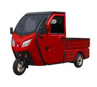 Elektro-Lastendreirad Jonway HSL Cargo 45 km/h - Rückfahrkamera 1-Sitzer