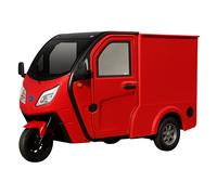 Elektro-Lastendreirad Jonway HSL Cargo 45 km/h - Rückfahrkamera 1-Sitzer