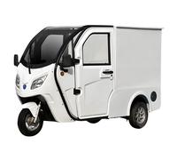 Elektro-Lastendreirad Jonway HSL Cargo 45 km/h - Rückfahrkamera 1-Sitzer