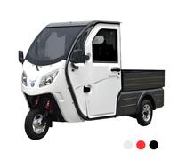 Elektro-Lastendreirad Jonway HSL Cargo 45 km/h - Rückfahrkamera 1-Sitzer