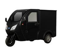 Elektro-Lastendreirad Jonway HSL Cargo 45 km/h - Rückfahrkamera 1-Sitzer