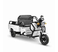 Elektro Lastenrad Volta APT4 Kompakt Lasten-Dreirad 25km/h, 1kW, COC Weiß