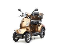 Elektro Quad ECONELO J4000 Braun