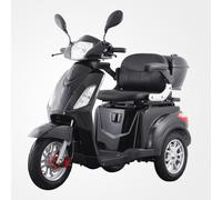 Elektro Seniorenmobil "Vista" 3-rad 25km/h 1kW LED