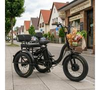 Elektro Trike 20 Zoll 48V 12Ah Rücksitz Passagier 1-Gang 25km/h 4.0 Fat Tyre