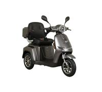Elektromobil AKTIV MOBIL "AM E-Rider 1000, 25 km/h mit Topcase", grau, ElektromobileB:71cm H:111cm L:175cm, Topcase mit Fassungsvermögen von ca. 25 l, Staufach mit ca. 19 l, B:71cm H:111cm L:175cm (40